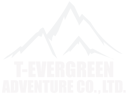 t-evergreen outdoor