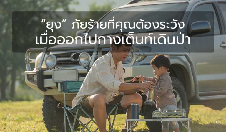 “ยุง” ภัยร้ายที่คุณต้องระวังเมื่อออกไปกางเต็นท์เดินป่า