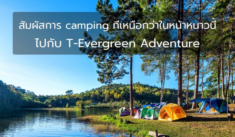 สัมผัสการ camping ที่เหนือกว่าในหน้าหนาวนี้ไปกับ T-Evergreen Adventure